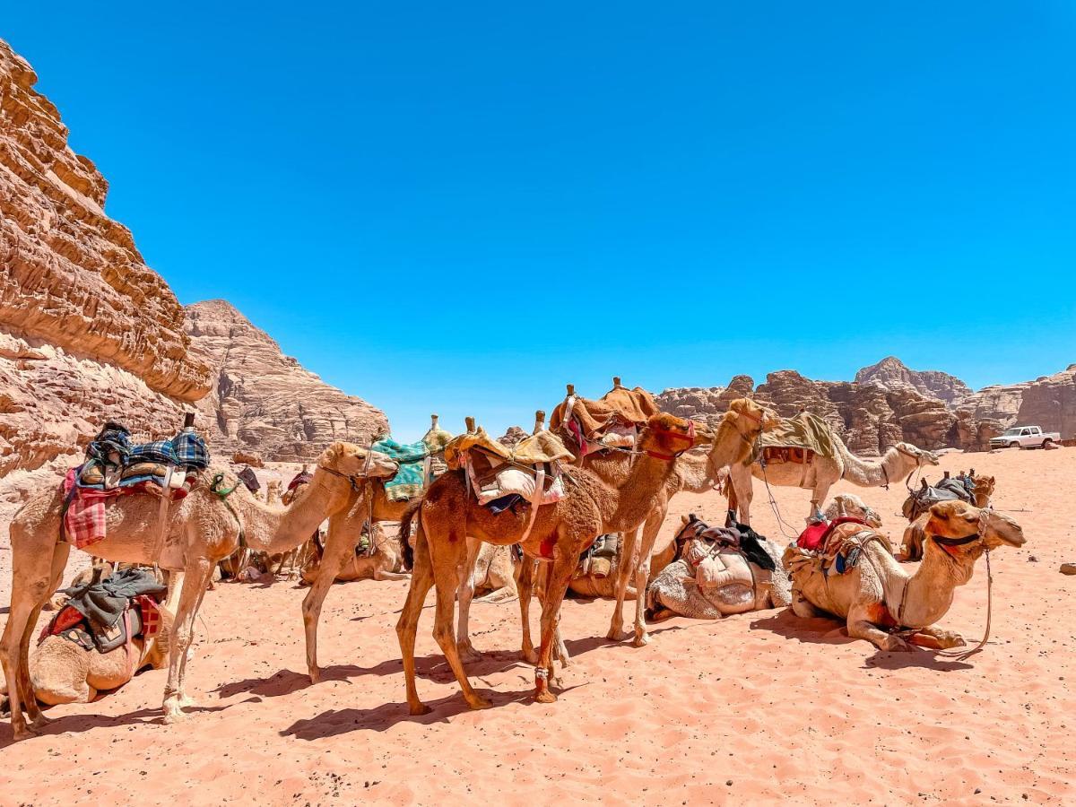 فندق Rum Jordan Camp And Tours وادي رم المظهر الخارجي الصورة